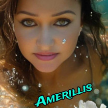 Amerillis